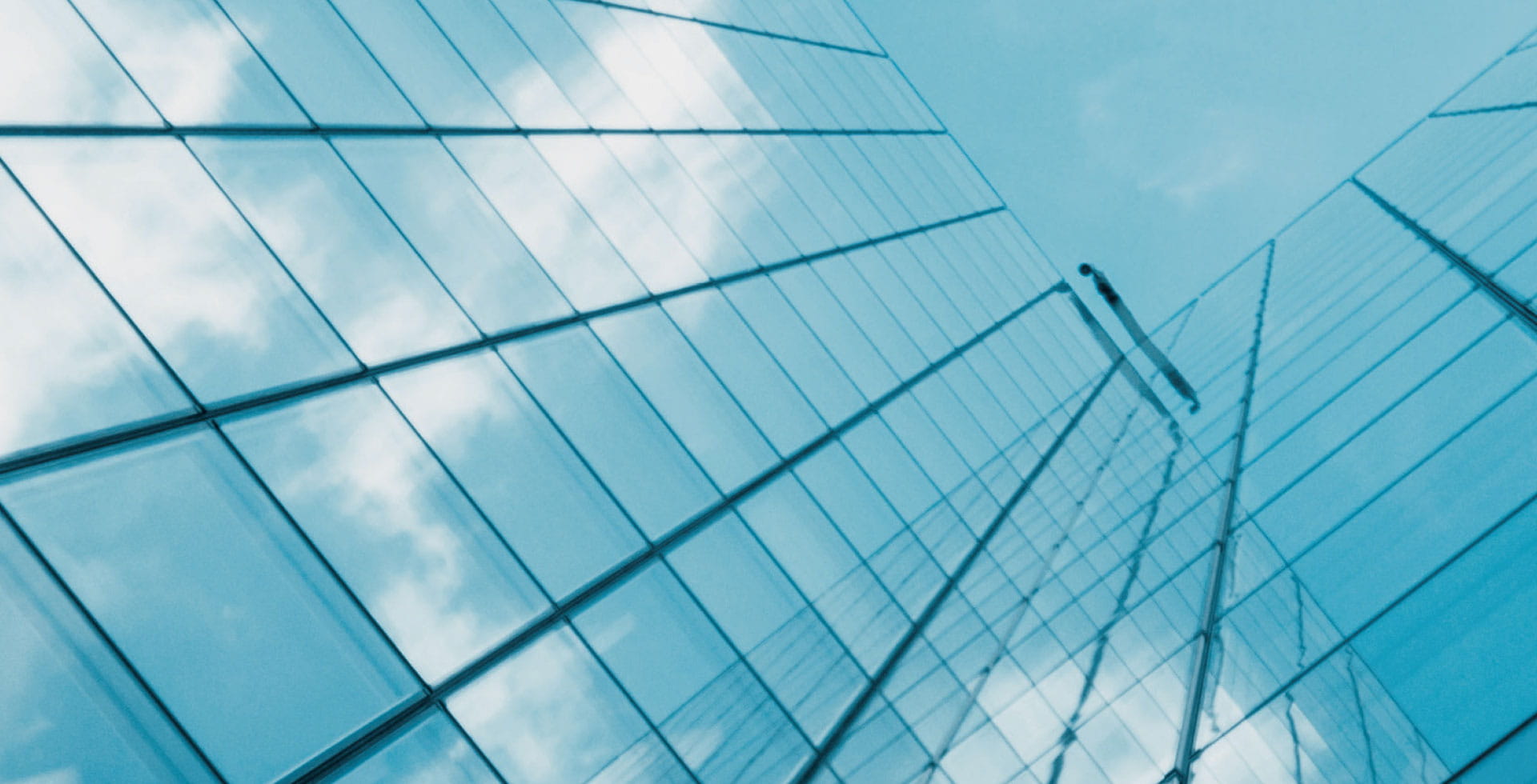 Esg Survey Allianz Global Investors