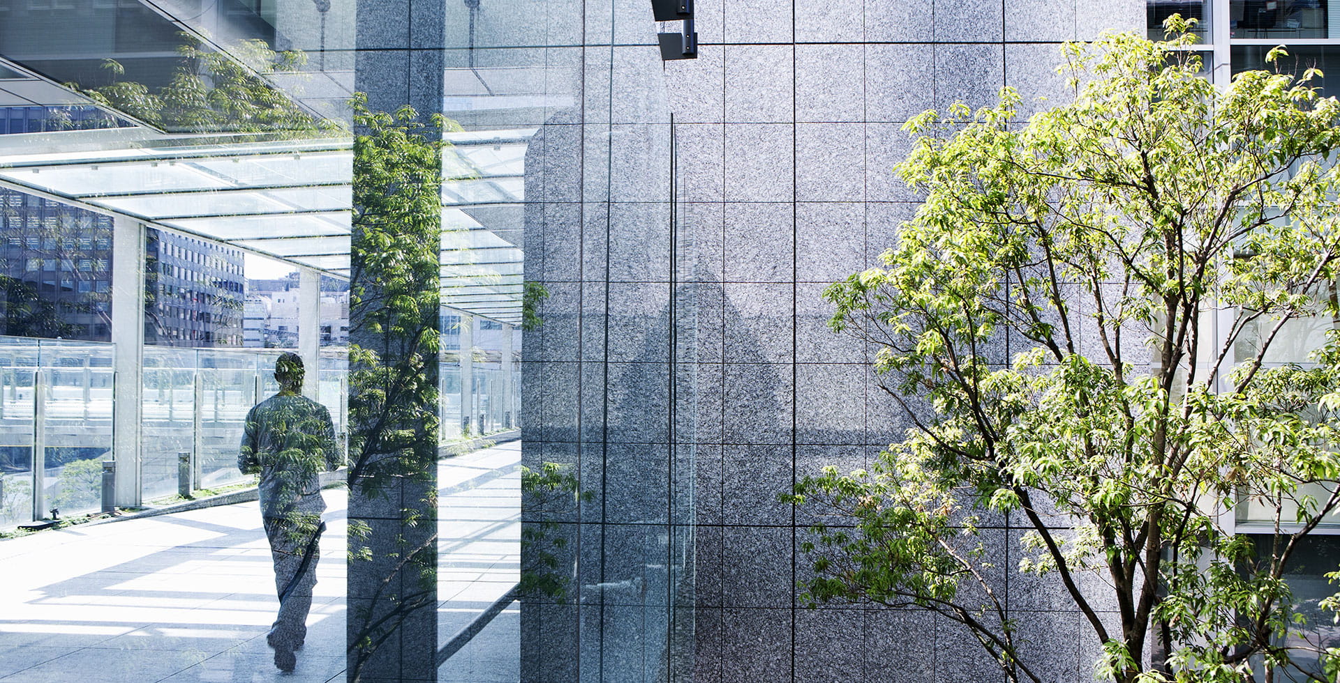 Tree inside the building